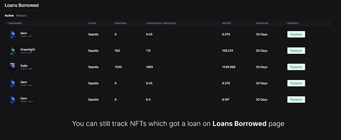 Loans Borrowed Page